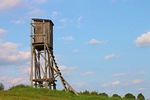 Ausübung der Einzeljagd bleibt trotz beschlossenen Kontaktbeschränkungen weiterhin möglich